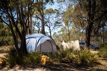 tents and camper trailers camping in an isolated campground