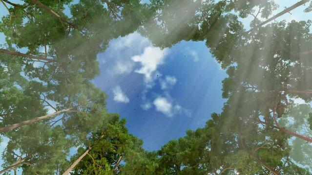Tall trees forming a heart-shaped window through which you can see the sky with floating clouds, 3D render