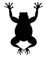 frog silhouette