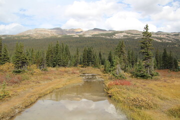 Fototapeta na wymiar Bow River, Banff National Park, Alberta