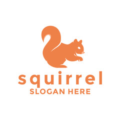 squirrel vector logo design. modern squirrel logo template