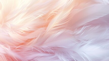 Beautiful Blur Bird chicken feather texture for background Abstract, soft color.