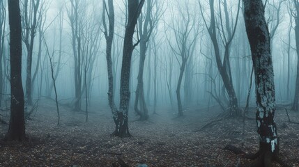 Panorama of foggy forest. Fairy tale spooky looking woods in a misty day. Cold foggy morning in horror forest