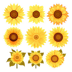 Radiant Sunflower Blossom Vibrant Yellow Petals, Nature's Beauty Captured in Sunny Field, Generative Ai