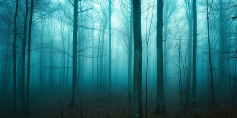 Obraz premium Panorama of foggy forest. Fairy tale spooky looking woods in a misty day. Cold foggy morning in horror forest