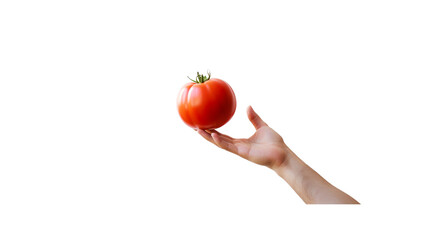 Image of hand holding a red tomato and holding it up