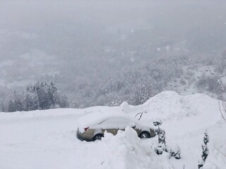 snow covered mountains