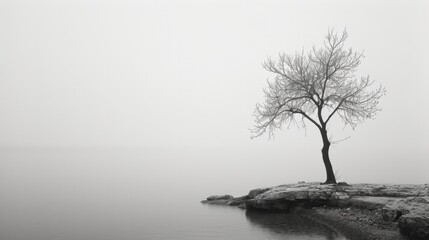 minimalist nature , brooding , moody , photography on hasselblad   