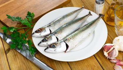 Atlantic mackerel fish served raw to table..