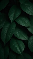 Obraz premium green leaves background