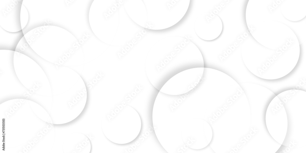 Fototapete Abstract background with circle white abstract geometric background with soft light white paper circles in design .Gray abstract. Modern design background for report and project presentation template.