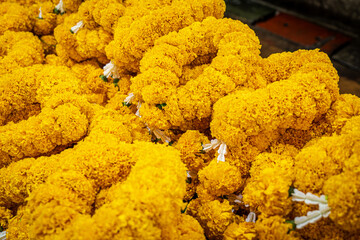 Marigold flower, background, yellow petal, pattern.