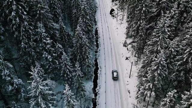 Car driving in snow in forest