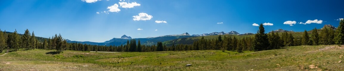 Obraz premium mountain tundra meadow panorama with forest and distant peaks