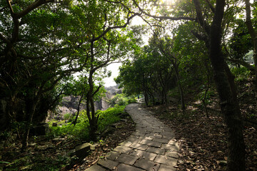 Trail by the coastline hidden in the woods with beautiful sunshine go through it, at Yilan, Taiwan.