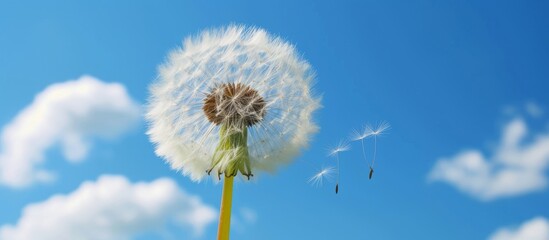 A dandelion, a flowering plant, dances in the wind amidst a blue sky adorned with clouds in the natural landscape.