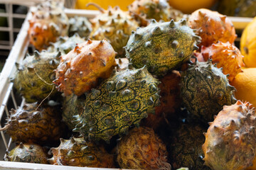 Kiwano tropical fruit, African horned cucumber, horned melon, spiked melon, jelly melon with...