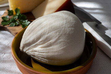 Freshly strained white soft goat cow sheep milk cheese, young Spanish cheese
