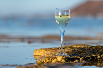 A glass of champagne or cava on vacation, low tide on Dunes Corralejo sandy beach, Fuerteventura, Canary islands