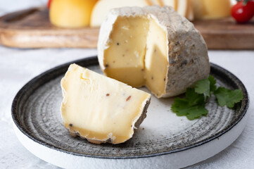 Italian hard cheese truffelino romano with black summer truffles mushrooms close up