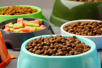 Various pet bowls with dry food on gray wooden background