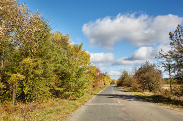 Fototapeta na wymiar Asphalt country road near trees. Suburban road at rural Europe