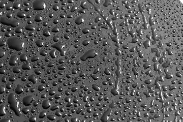 Water drops on a black background. Texture