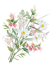 Colorful hand drawn sketch of flowers and grass. Set of plants on a light background. Medical herbs and spice. Bouquet of the wildflowers.
