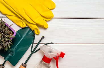 Garden tools on the background of a white wooden table
