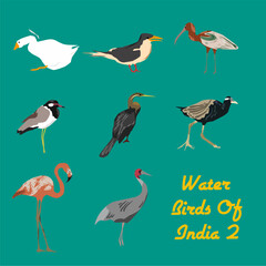Vector illustration of set of water birds of India including Flamingo, Goose, Red Wattled Lapwing, Darter, Glossy Iris, Crane, Tern, Bronze winged Jacana
