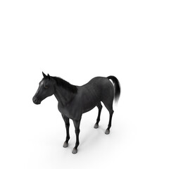 Black Horse Fur PNG