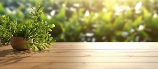 Green plant in pot on wooden table and green wall background