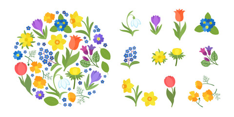 Spring flowers cartoon vector. Bright spring flower icons vibrant design, isolated and arranged in a circle frame. Cute illustration early springtime plants bloom - snowdrop, daffodil, crocus, tulip.