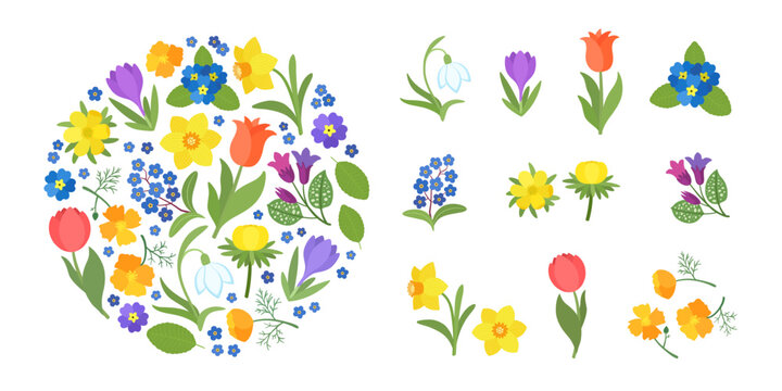 Spring flowers cartoon vector. Bright spring flower icons vibrant design, isolated and arranged in a circle frame. Cute illustration early springtime plants bloom - snowdrop, daffodil, crocus, tulip.