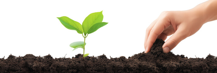 clipart hand planting a young tree in fertile soil - obrazy, fototapety, plakaty
