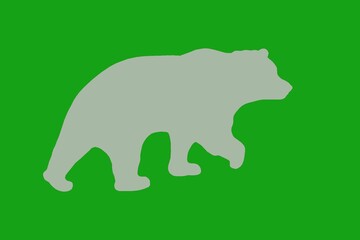 The outline of the bear is black and white.
