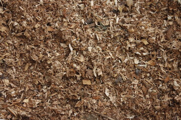 background, wood