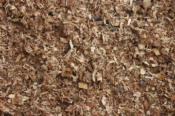 texture background, 
sawdust