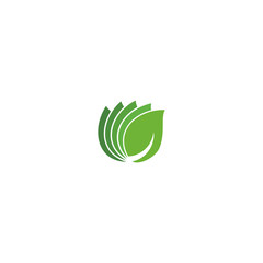 Green leaf logo design isolated on white background