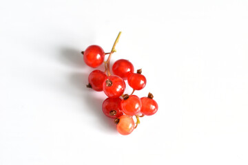 A branch with red currant berries, a wig, lie on a white background.