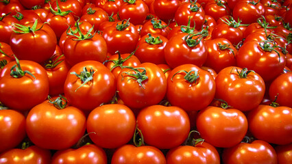 Fresh tomatoes lined up on the counter at the market