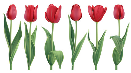 Set of plastic red tulip flowers with stem, and leaves.