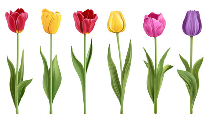 3d render illustration of plastic tulip flowers set with stem, and leaves isolated.