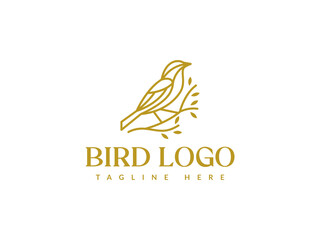 Fototapeta premium bird line logo vector illustration. bird with tree branch logo template