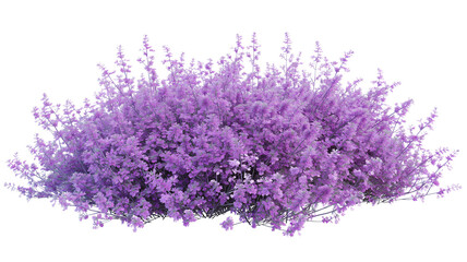 Obraz premium bush of delicate turquoise flowers, isolated on transparent background