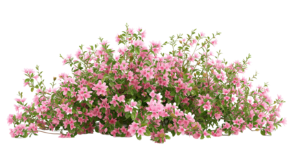 imagine bush of flowers isolated on transparent background