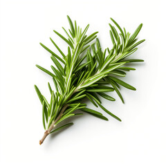 Fototapeta premium Rosemary Reverie Imagery Showcasing Whole and Chopped Rosemary on a Pure White Canvas