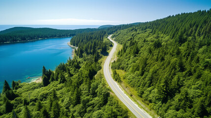 Aerial view of road with green woods by blue lakes water in summer