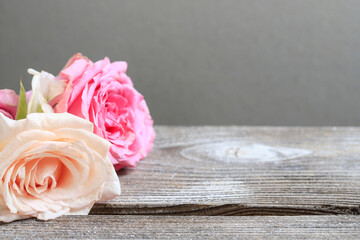 Beautiful roses on wooden board, copy space.