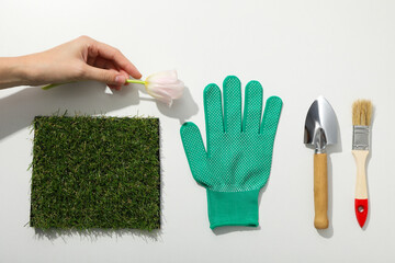 Gardening tools, grass, tulip in hand and glove on white background, top view